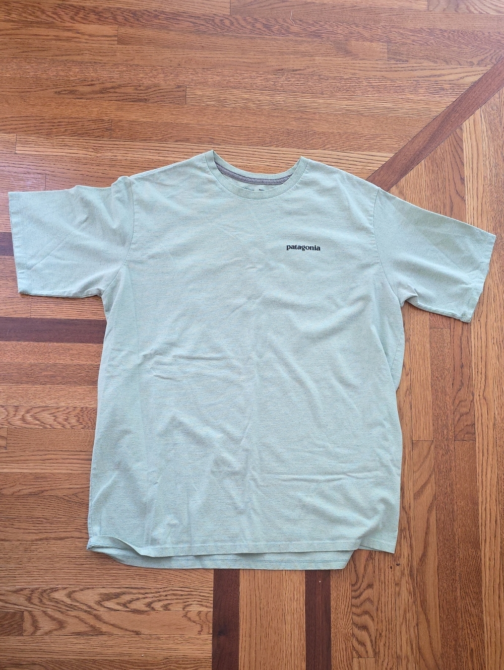 Patagonia Short Sleeve Crew Tee in Sage Green Mens Size L